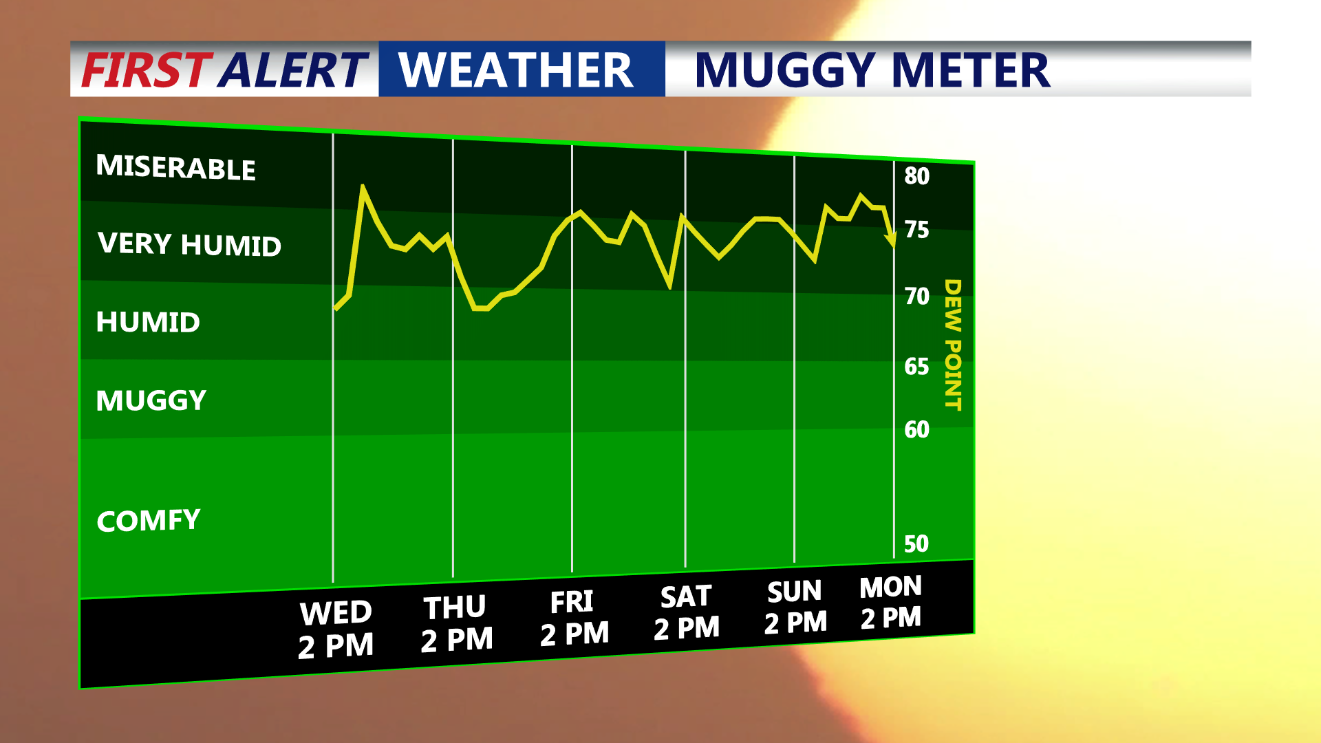 MUGGY METER